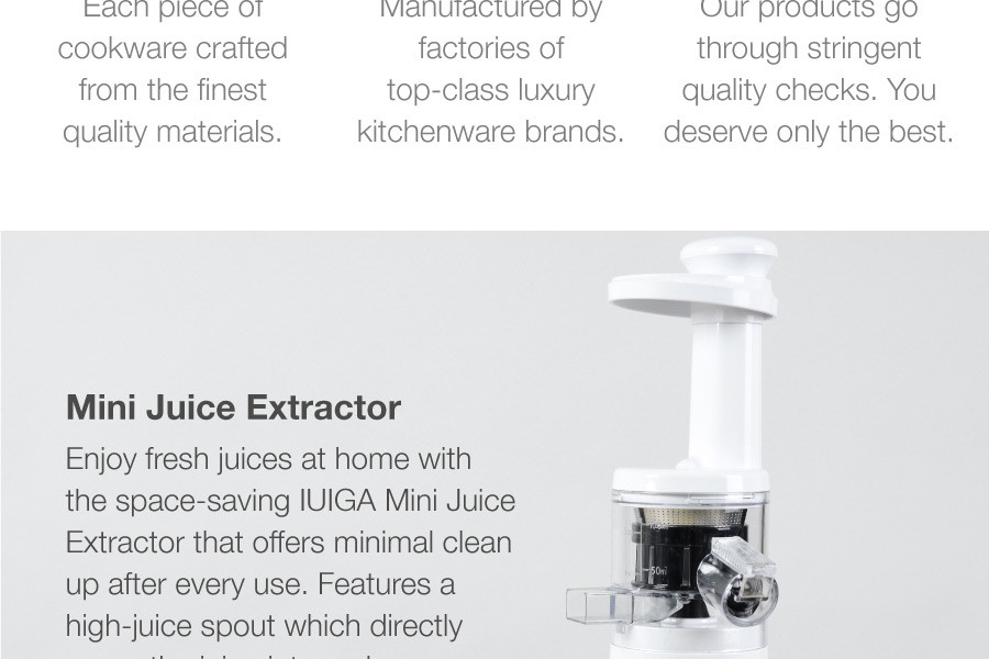 Mini Juice Extractor