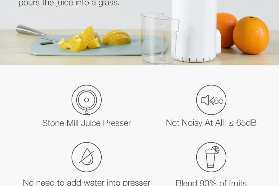 Mini Juice Extractor