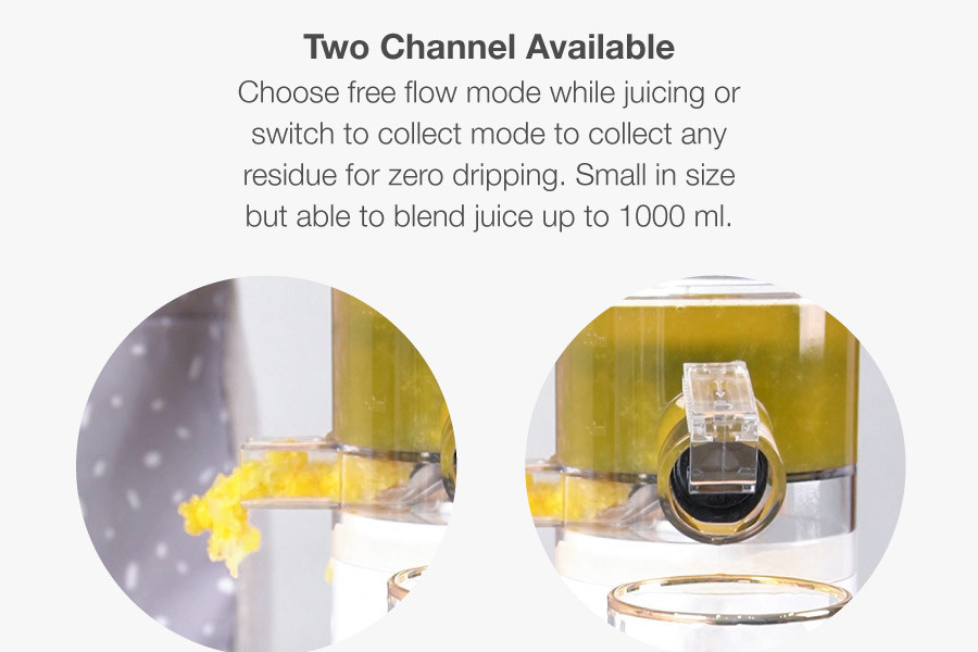 Mini Juice Extractor