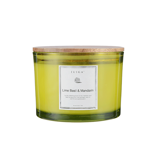 Large Lime Basil & Mandarin Soy Wax Candle