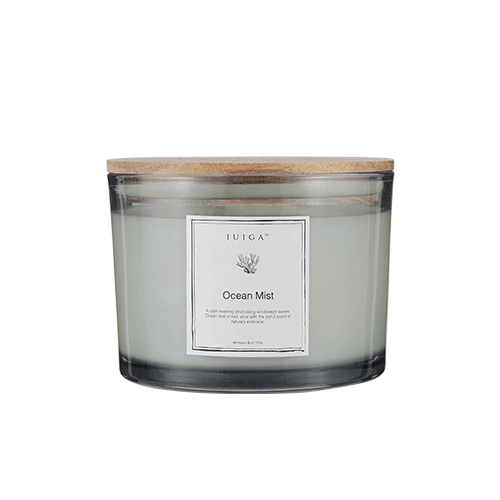 Large Ocean Mist Soy Wax Candle