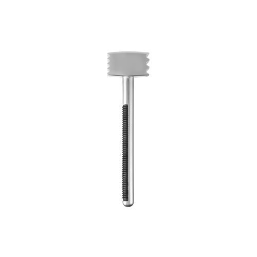 Dual-Sided Meat Tenderizer