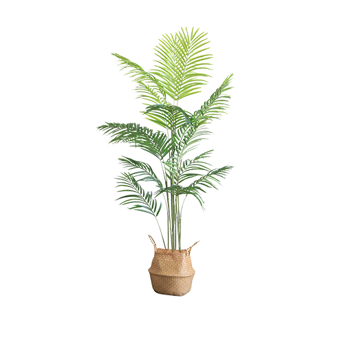 Chrysalidocarpu Slutescens Artificial Plant