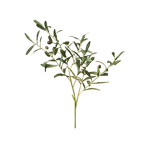 Artificial Olive Branch
