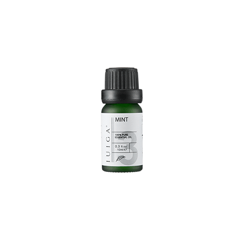 Mint Essential Oil