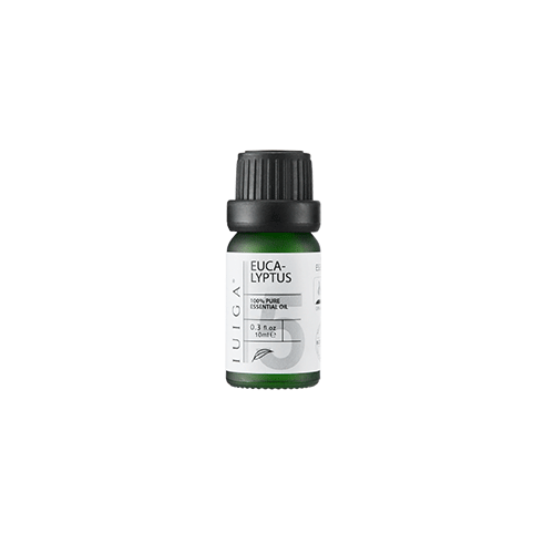 Eucalyptus Essential Oil