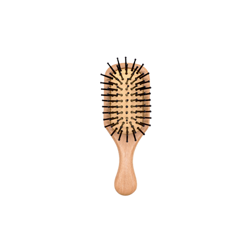 Mini Wooden Paddle Brush